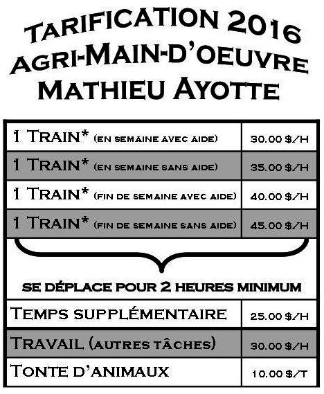 Agri-main doeuvre Mathieu Ayotte | 2351 Rang St Alexandre, Saint-Zéphirin-de-Courval, QC J0G 1V0, Canada | Phone: (819) 816-2023