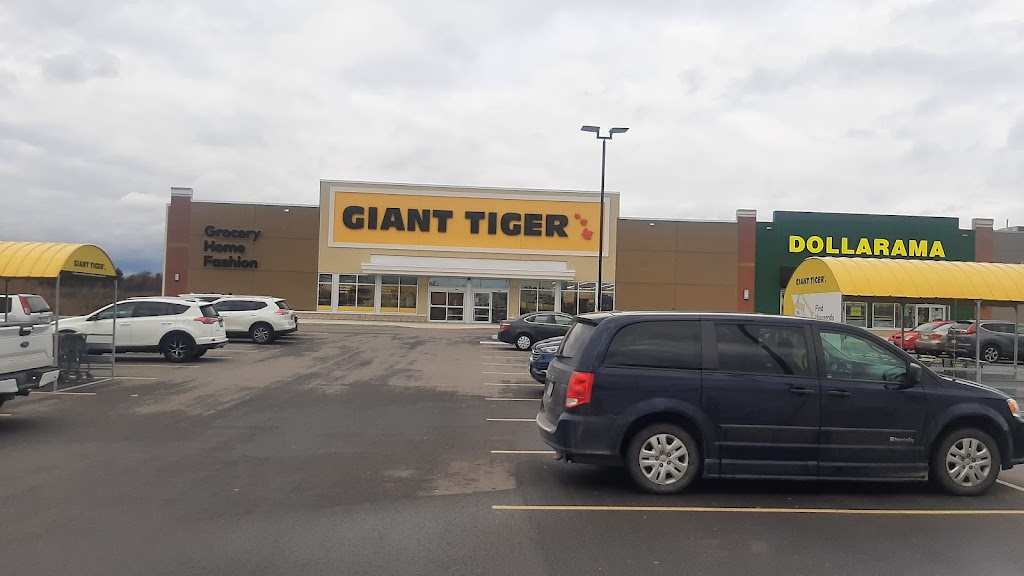 Giant Tiger | 120 Portia Dr Unit 3, Ancaster, ON L9G 0G1, Canada | Phone: (905) 648-7637