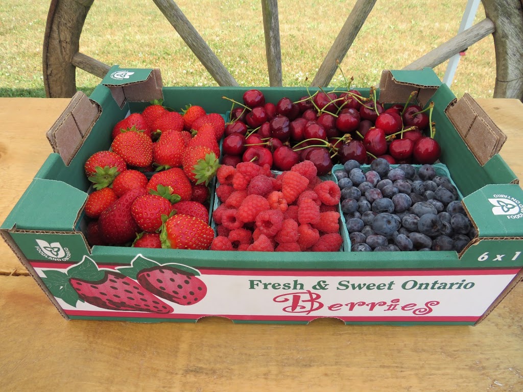 Fenwick Berry Farm: Barn & Retail (Berry Fresh Farms) | 1760 Balfour St, Fenwick, ON L0S 1C0, Canada | Phone: (905) 892-8231