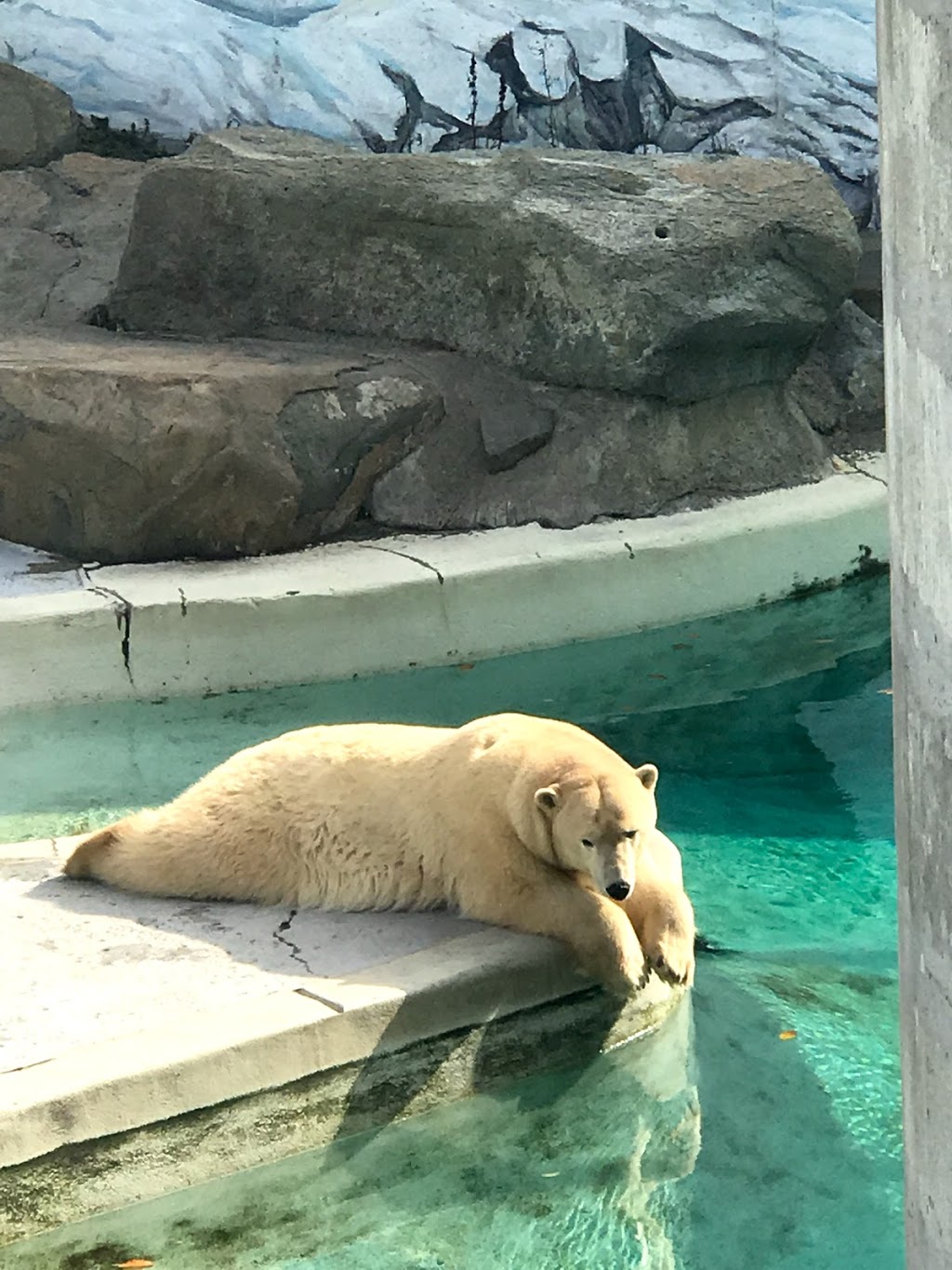 Aquarium of Quebec | 1675 Avenue des Hôtels, Québec, QC G1W 4S3, Canada | Phone: (418) 659-5264