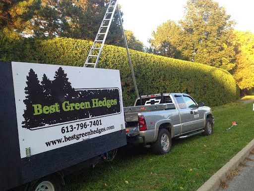 Best Green Hedges | 5849 Third Line Rd N, North Gower, ON K0A 2T0, Canada | Phone: (613) 796-7401