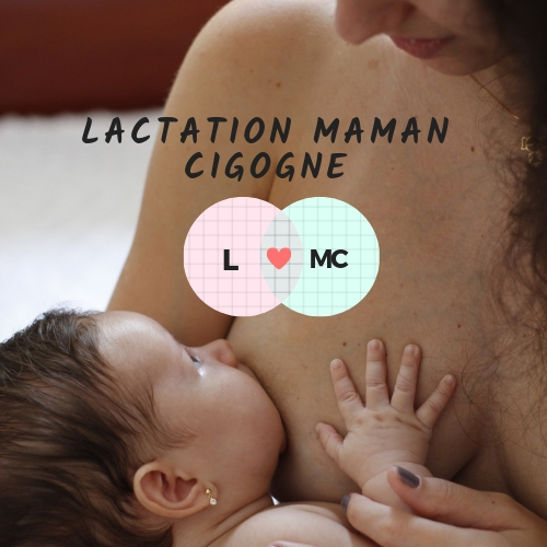 Lactation Maman Cigogne | 2870 Rue Rocheleau, Saint-Hubert, QC J3Y 4T3, Canada | Phone: (514) 298-7111