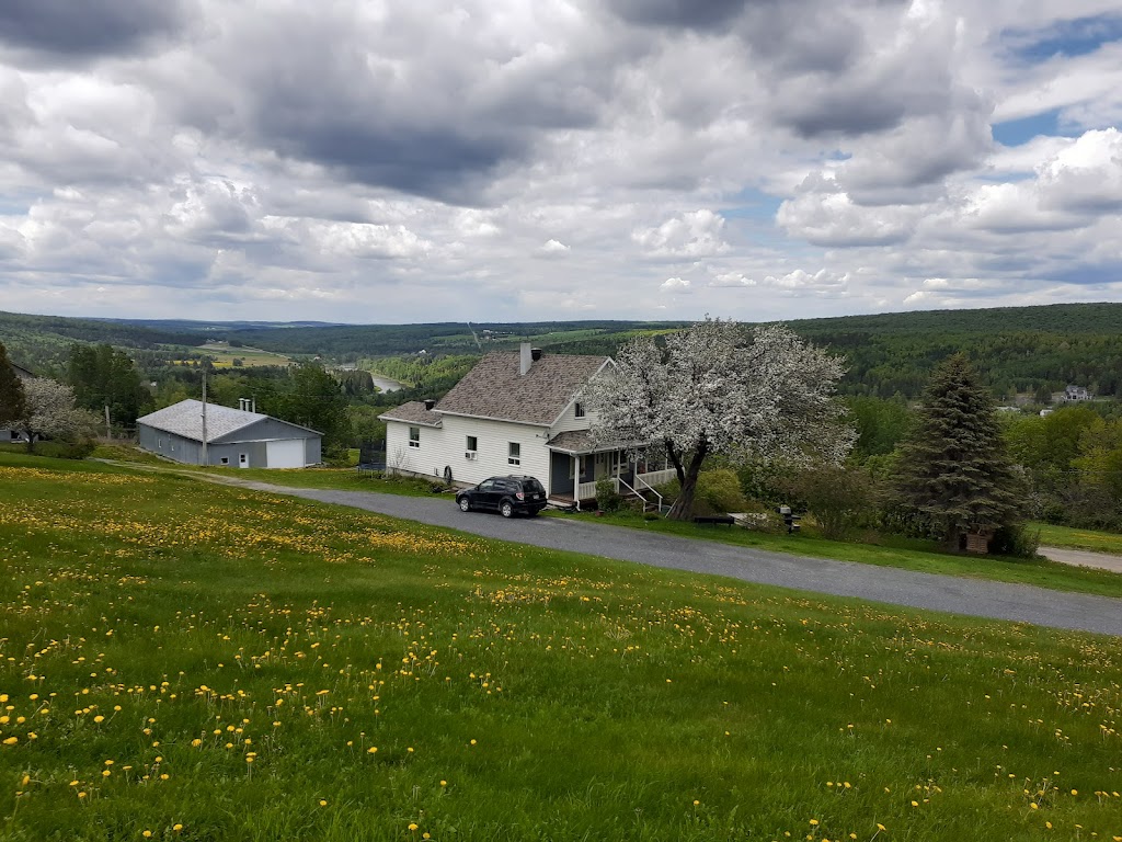 Massothérapie Mélissa Dubé | 350 Ch de la Rivière-Etchemin, Saint-Malachie, QC G0R 3N0, Canada | Phone: (581) 777-1203