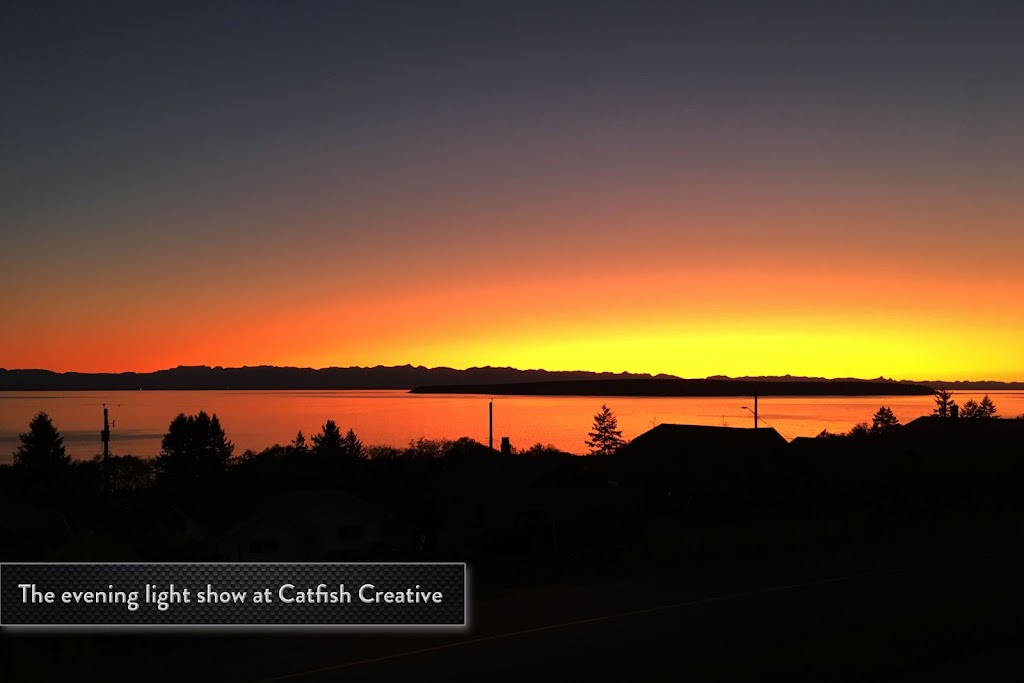 Catfish Creative | 5420 Marine Ave, Powell River, BC V8A 2L7, Canada | Phone: (604) 578-8521