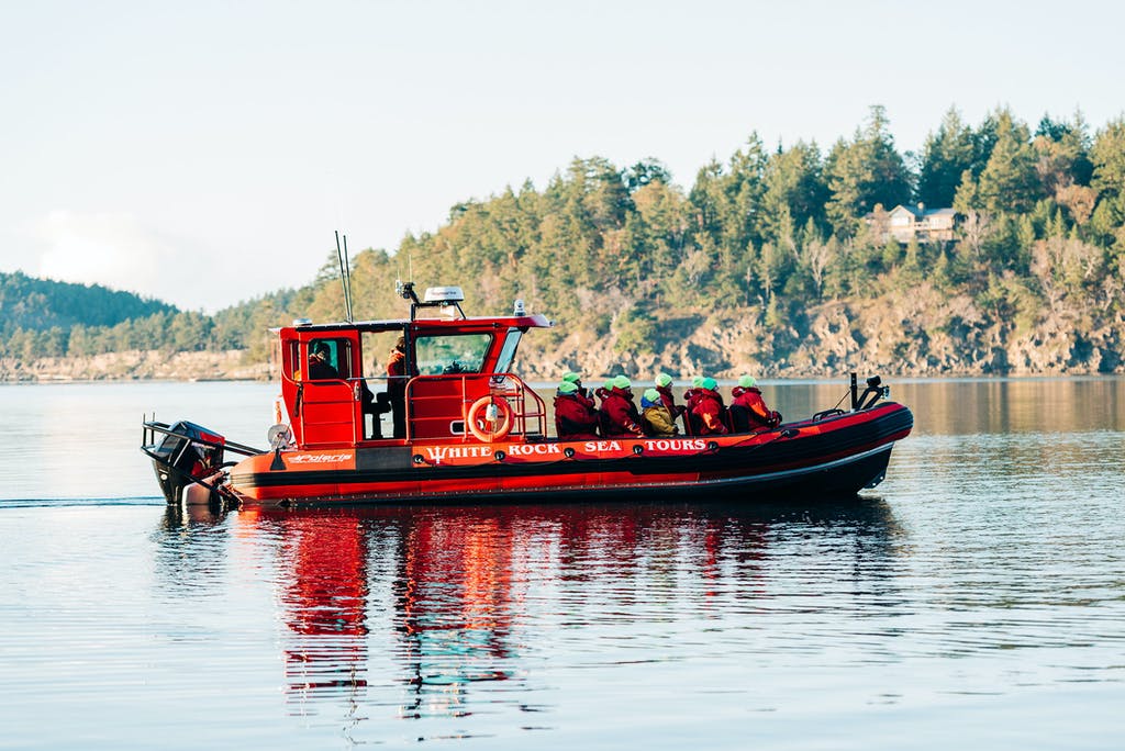 White Rock Sea Tours and Whale Watch Vancouver | Crescent Beach Marina, 12555 Crescent Rd, Surrey, BC V4A 2V4, Canada | Phone: (604) 868-1755