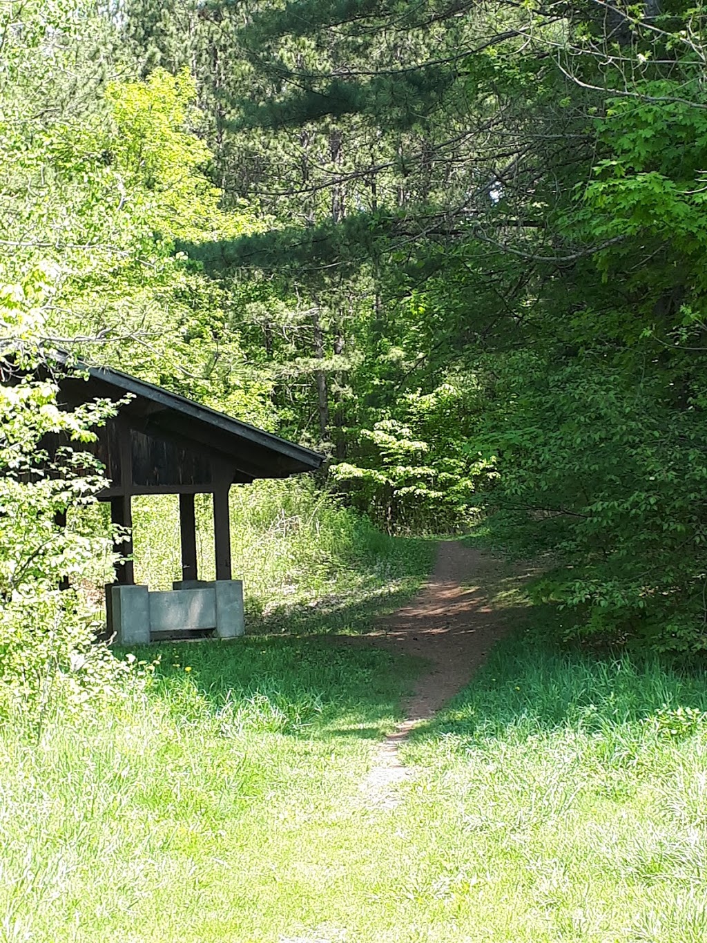 Withchurch Conservation Area | Unnamed Road, Newmarket, ON L3Y 4W1, Canada