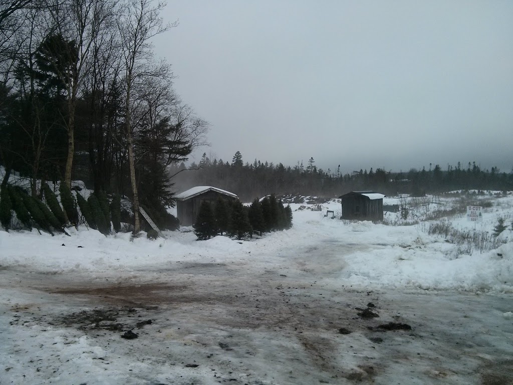 Hogans Christmas Tree Farm | 315 Etter Rd, Mount Uniacke, NS B0N 1Z0, Canada | Phone: (902) 866-2392