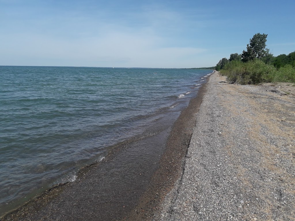 Point Pelee National Park | 1118 Point Pelee Dr, Leamington, ON N8H 3V4, Canada | Phone: (519) 322-2365