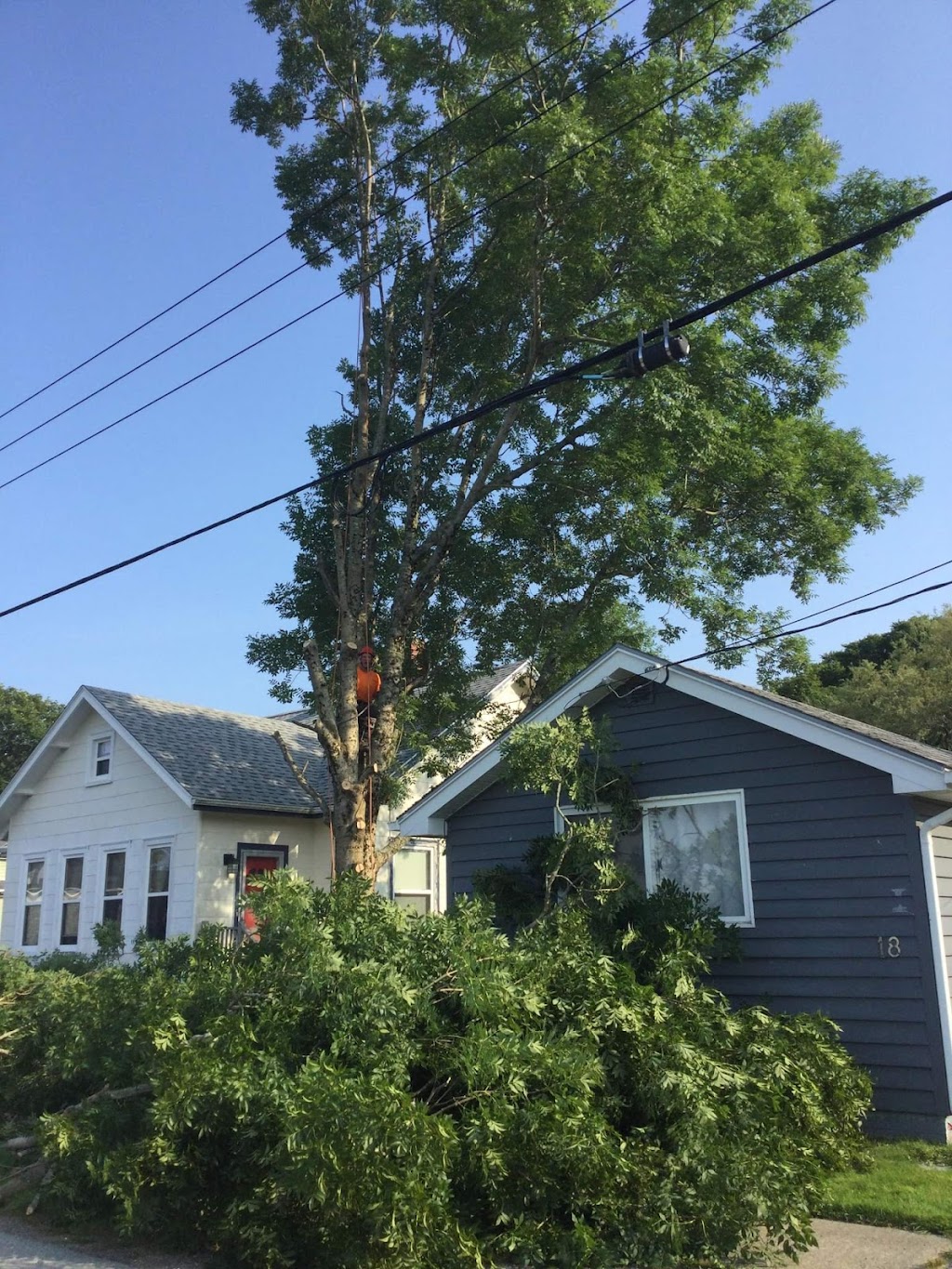 Burlin Nickerson Tree Service | 447 Nova Scotia Trunk 3, Lower East Pubnico, NS B0W 2A0, Canada | Phone: (902) 635-3154