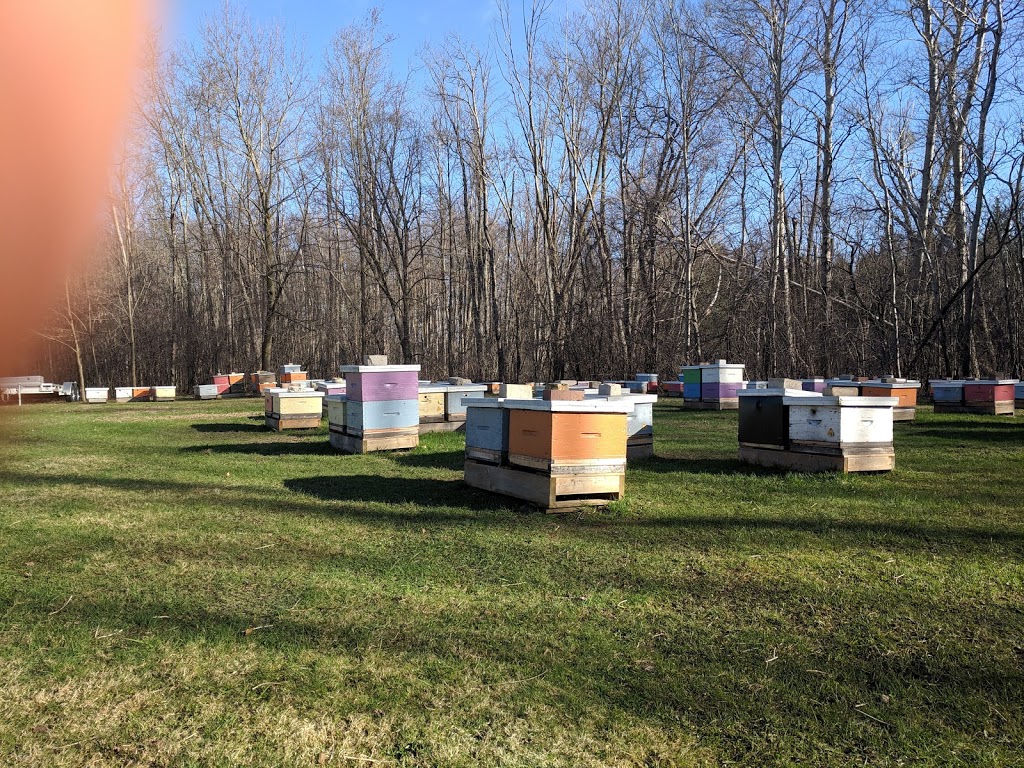 Beekeepers Association | 308 Stone Rd E, Guelph, ON N1G 4X7, Canada | Phone: (519) 836-8897