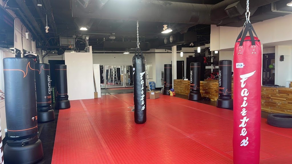 Black Belt Institute | 75 Carl Hall Rd #1001A, Toronto, ON M3K 2B9, Canada | Phone: (647) 952-1495