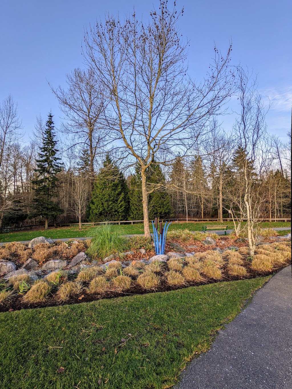 Hawthorne Display Garden | Whalley, Surrey, BC V3T 4V4, Canada | Phone: (604) 501-5050