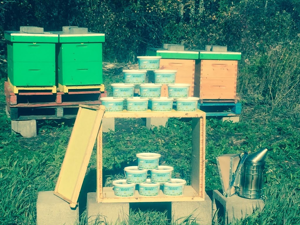 Sweet Dees Honey Farms | 43 Mill Rd, Morinville, AB T8R 1N6, Canada | Phone: (780) 405-4274