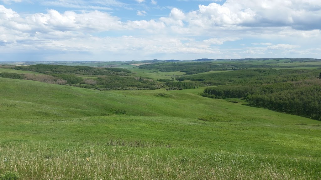 Ann & Sandy Cross Conservation Area | 20-194001 160 St W, Foothills, AB T1S 4K9, Canada | Phone: (403) 931-1042
