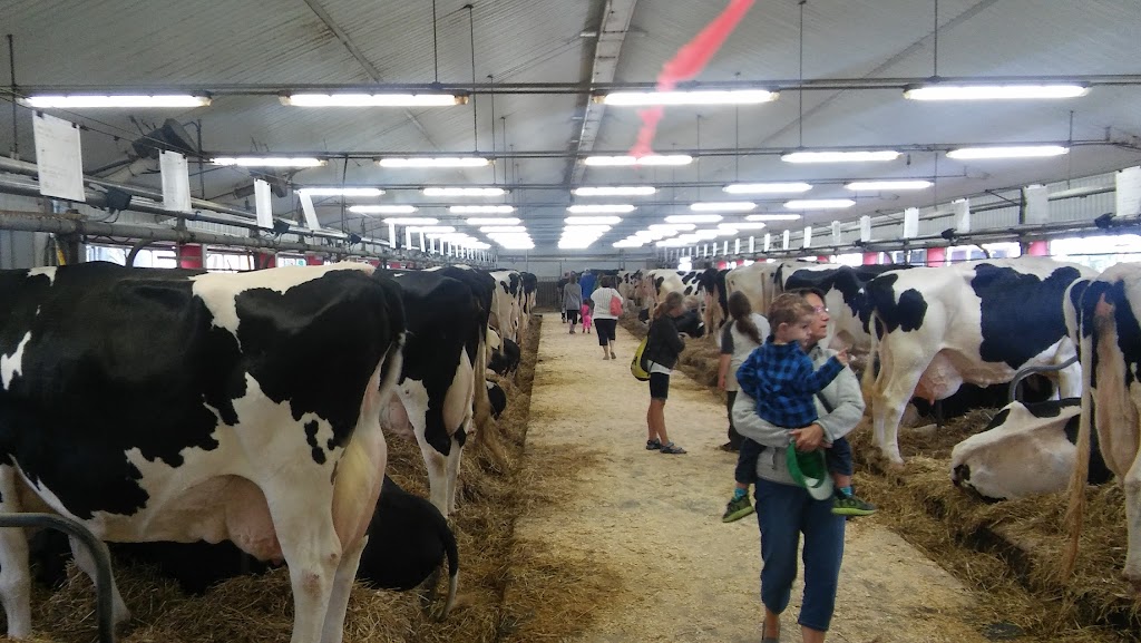 Ferme Boisblanc Holstein inc. | 651 Rte du Bois Blanc, Saint-Justin, QC J0K 2V0, Canada | Phone: (819) 227-2579