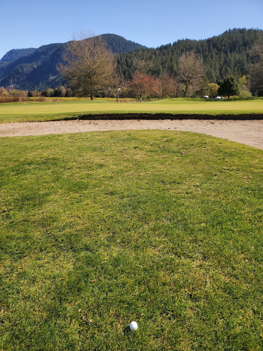 Golden Eagle Golf Club | 21770 Ladner Rd, Pitt Meadows, BC V3Y 1Z1, Canada | Phone: (604) 460-1111