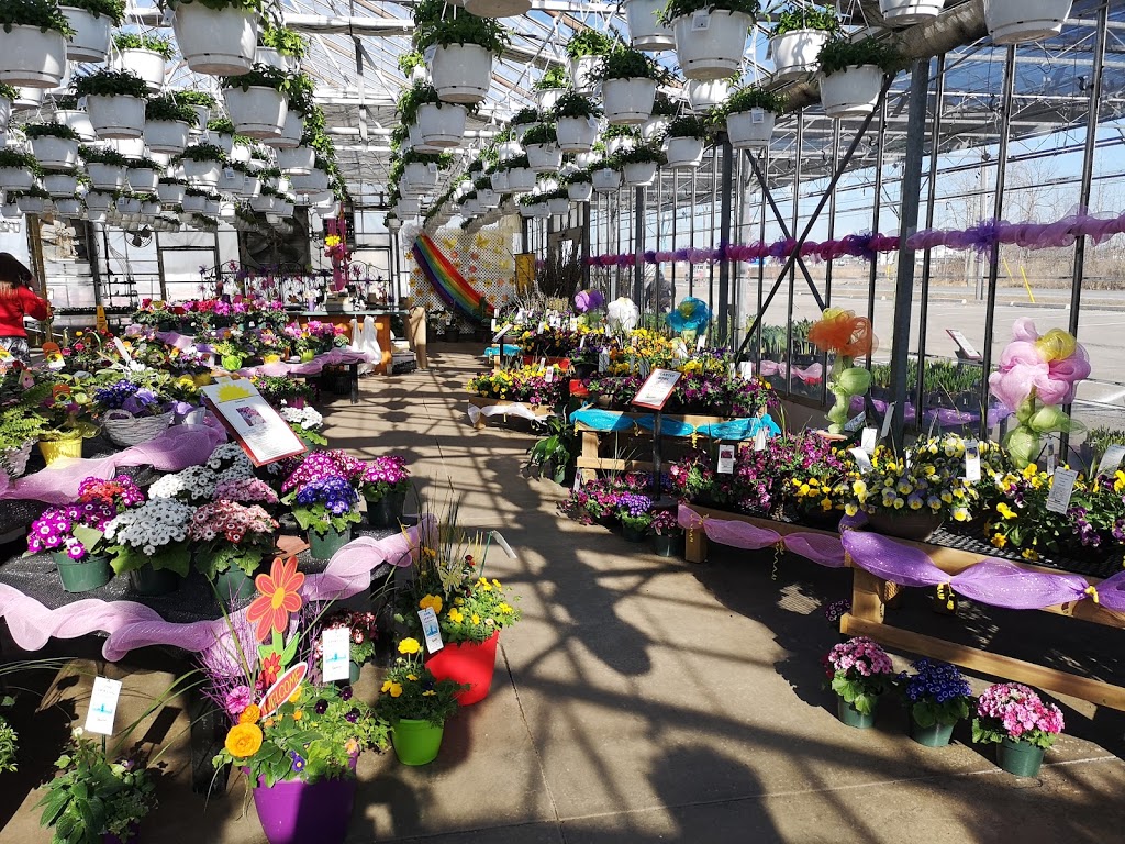 Sunshine Express Garden Centre | 18 Carlton St, Niagara-on-the-Lake, ON L0S 1J0, Canada | Phone: (905) 641-0983