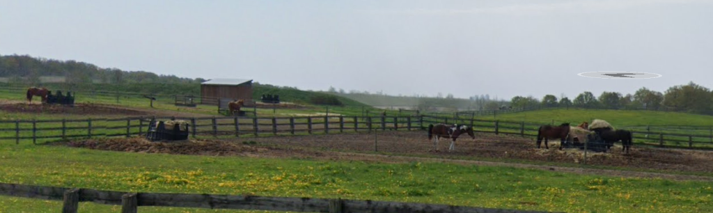 Warden Horses | XJMR+V4, Whitchurch-Stouffville, ON L4A 7X5, Canada | Phone: (548) 490-4584