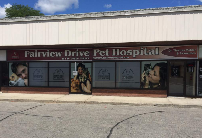 FAIRVIEW DRIVE PET HOSPITAL | 403 Fairview Dr Unit 7, Brantford, ON N3R 6T2, Canada | Phone: (519) 753-7257