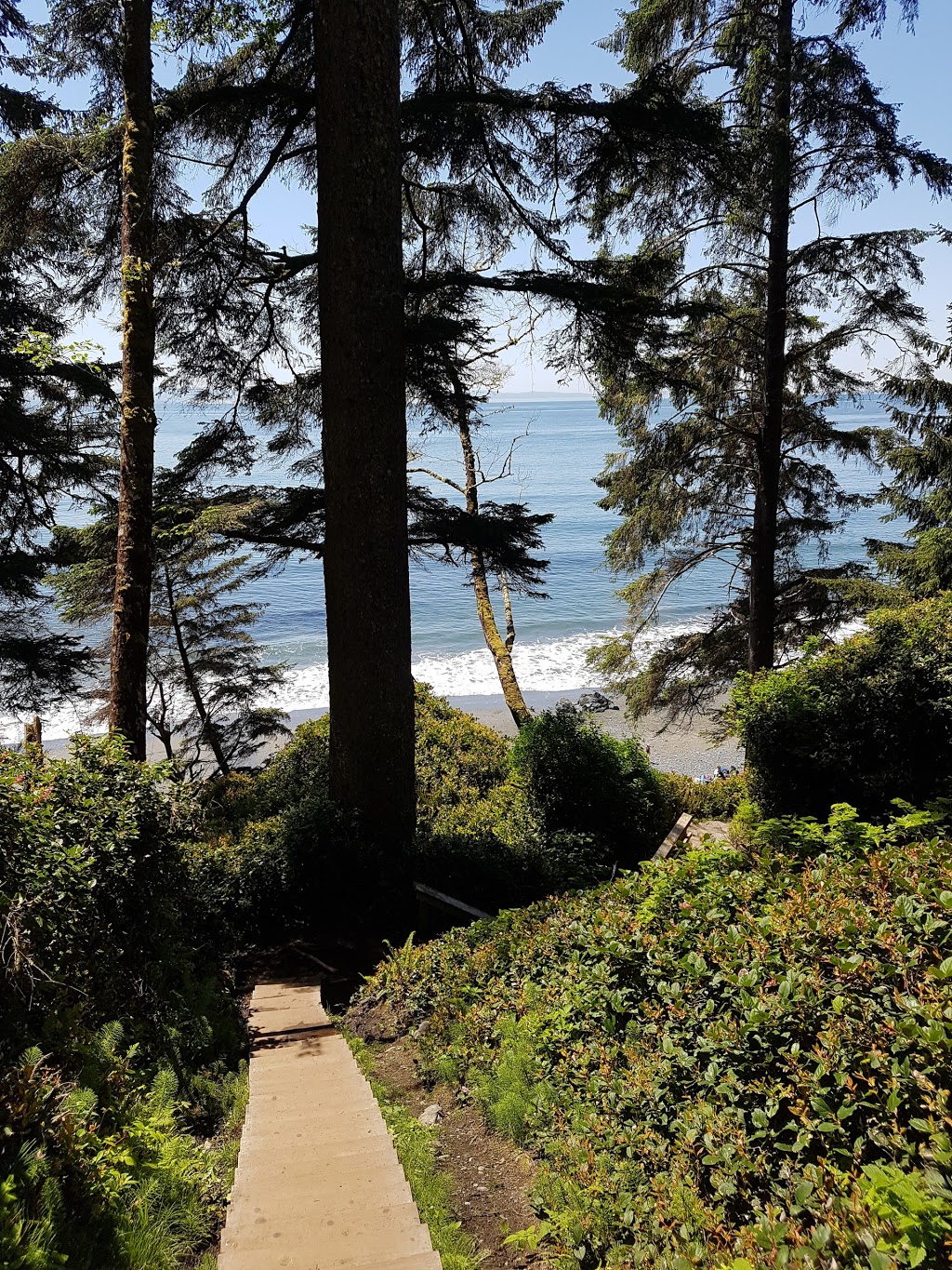 Juan de Fuca Trail Trailhead (Southeast / China Beach Terminus) | BC-14, Juan de Fuca, BC V0S, Canada