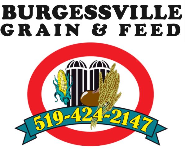 Burgesville Grain & Feed Inc | 323941 Mt Elgin Rd, Mount Elgin, ON N0J 1N0, Canada | Phone: (519) 424-2147