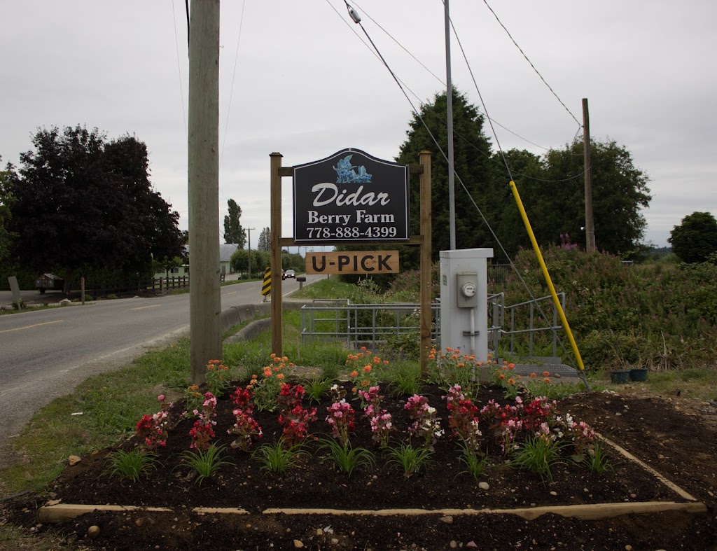 Didar Berry Farm | 5580 104 St, Delta, BC V4K 3N3, Canada | Phone: (778) 888-4399