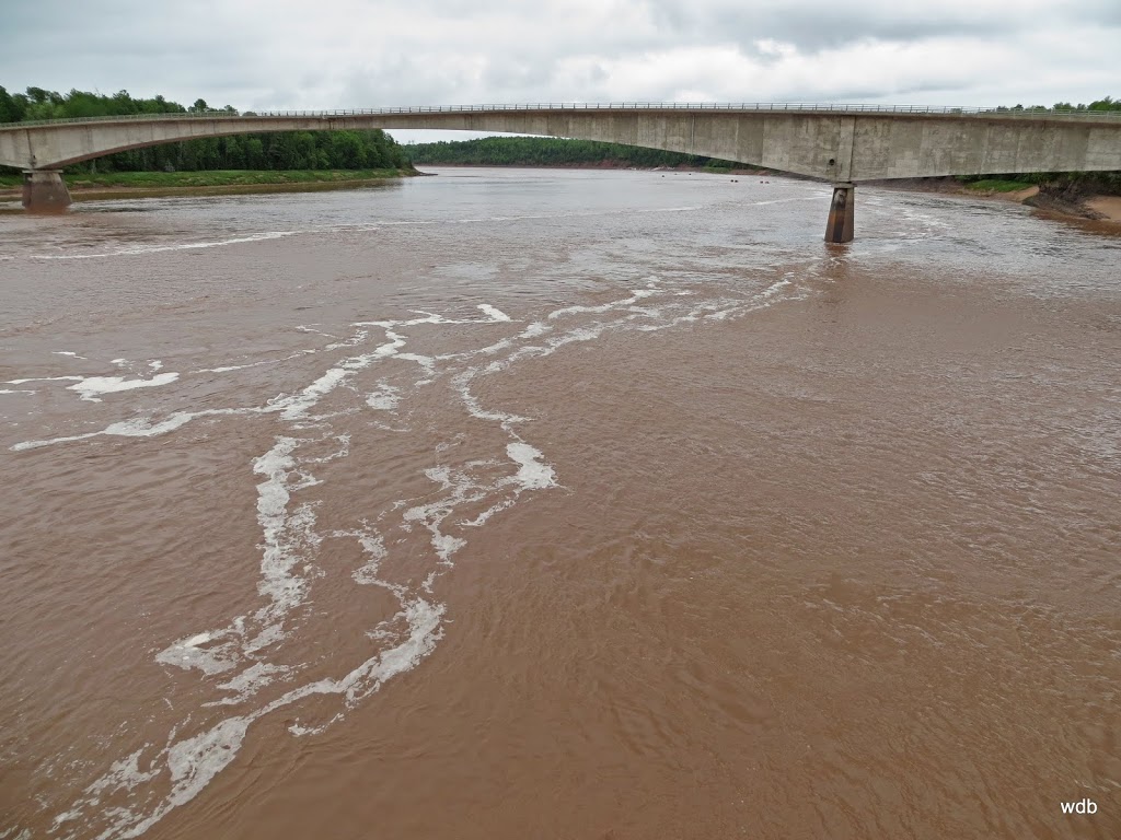 Fundy Tidal Bore Adventures | 45, NS-236, Green Oaks, NS B6L 1R7, Canada | Phone: (902) 986-1412