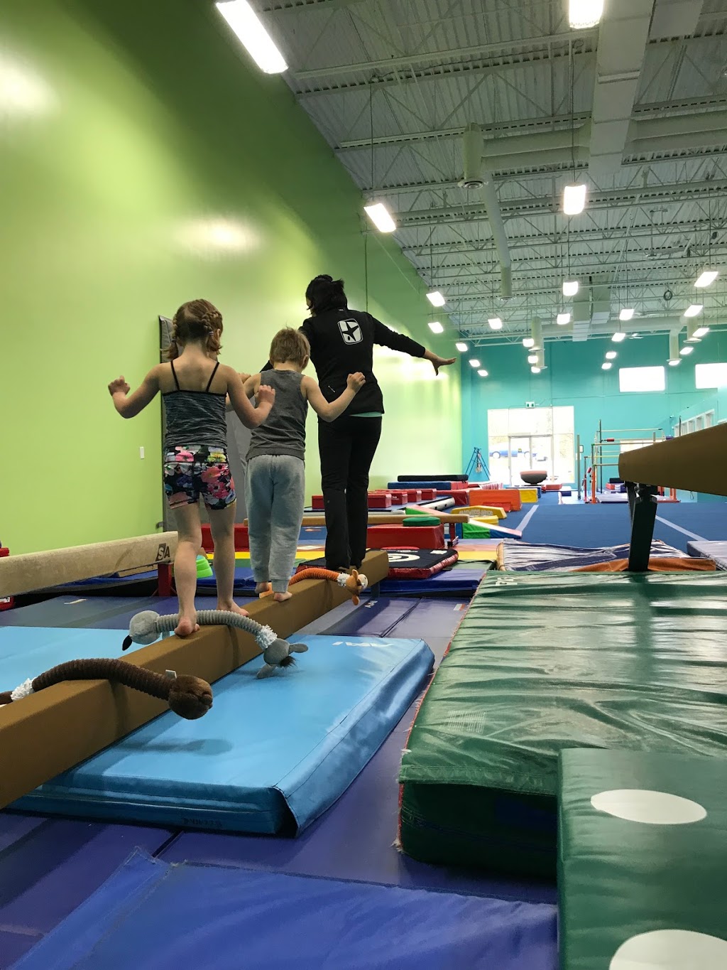 Splitz Gymnastics Centres Ltd. | 34150 S Fraser Way #103A, Abbotsford, BC V2S 2C6, Canada | Phone: (604) 864-0396