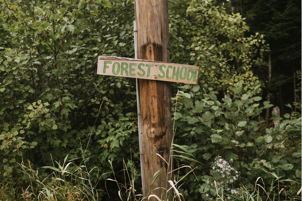 Pictou County Forest School | 421 MacBain Rd, Meadowville, NS B0K 1R0, Canada | Phone: (506) 292-1778