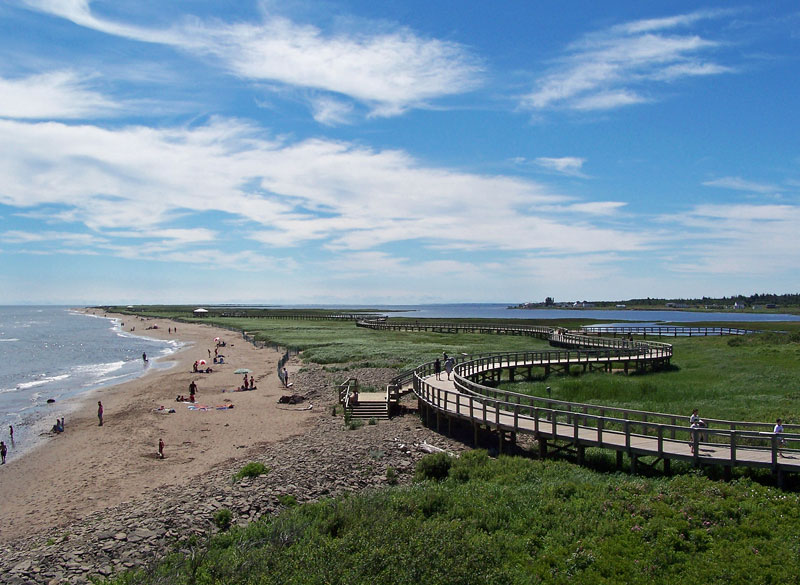 Irving Nature Park Barbecue Area | 1600 Sand Cove Rd, Saint John, NB E2M 4Z8, Canada | Phone: (506) 653-7367