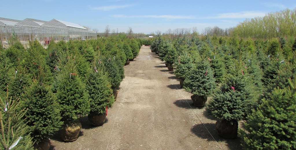 Connon Nurseries | 656 Robson Rd, Waterdown, ON L0R 2H1, Canada | Phone: (905) 689-7433