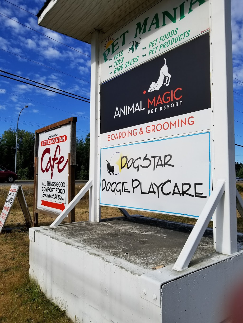 Dogstar Doggie Playcare | 1002 Bellevue Rd, Parksville, BC V9P 2C2, Canada | Phone: (250) 954-3642