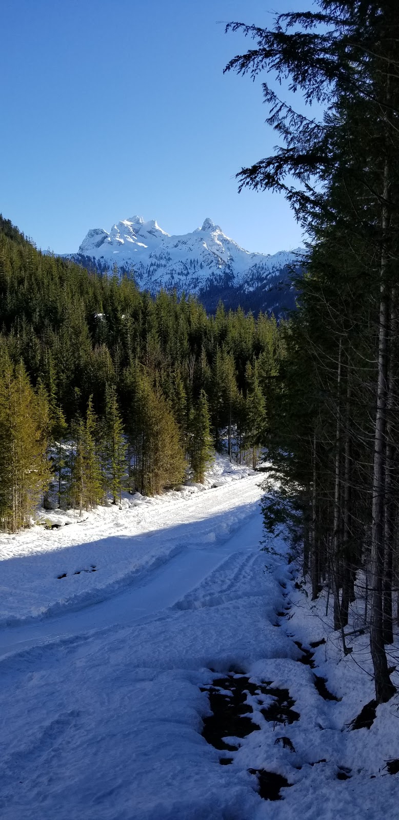 Highline Trailhead | Canada, British Columbia, Britannia Beach, Unnamed Road邮政编码: V0N 1J0