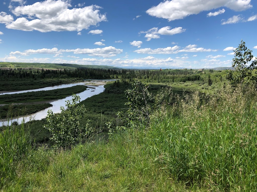 Snowy Owl Picnic Site | 7305 Crowchild Trail SW, Calgary, AB T3E 6B5, Canada | Phone: (403) 268-3800