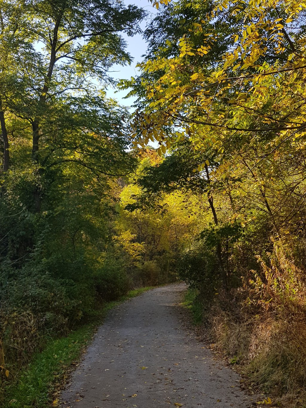 Passage | Doris McCarthy Trail, Toronto, ON, Canada | Phone: (416) 392-2489