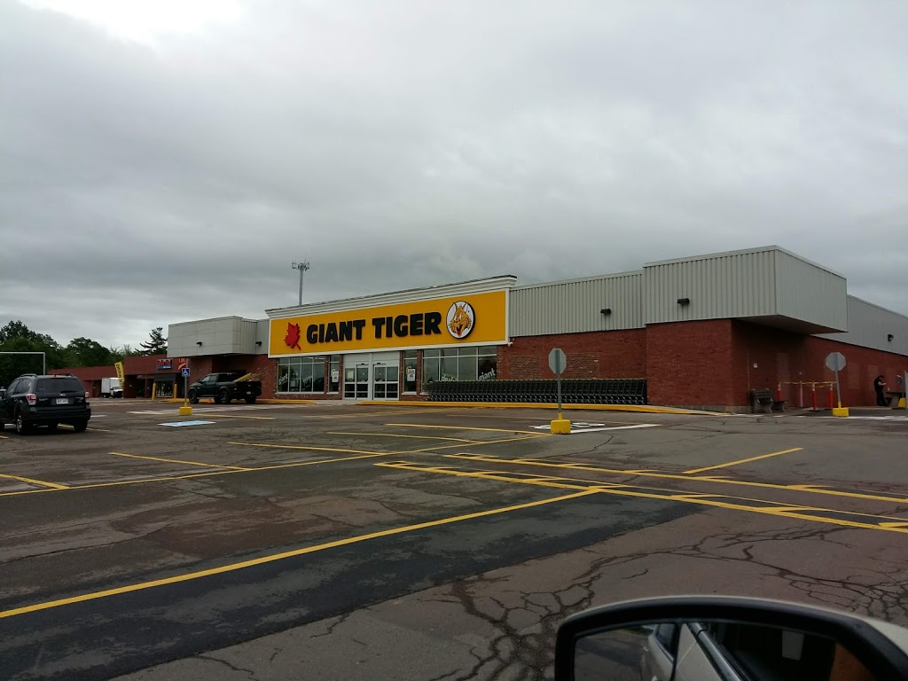 Giant Tiger | 720 Coverdale Rd, Riverview, NB E1B 3L8, Canada | Phone: (506) 383-4222