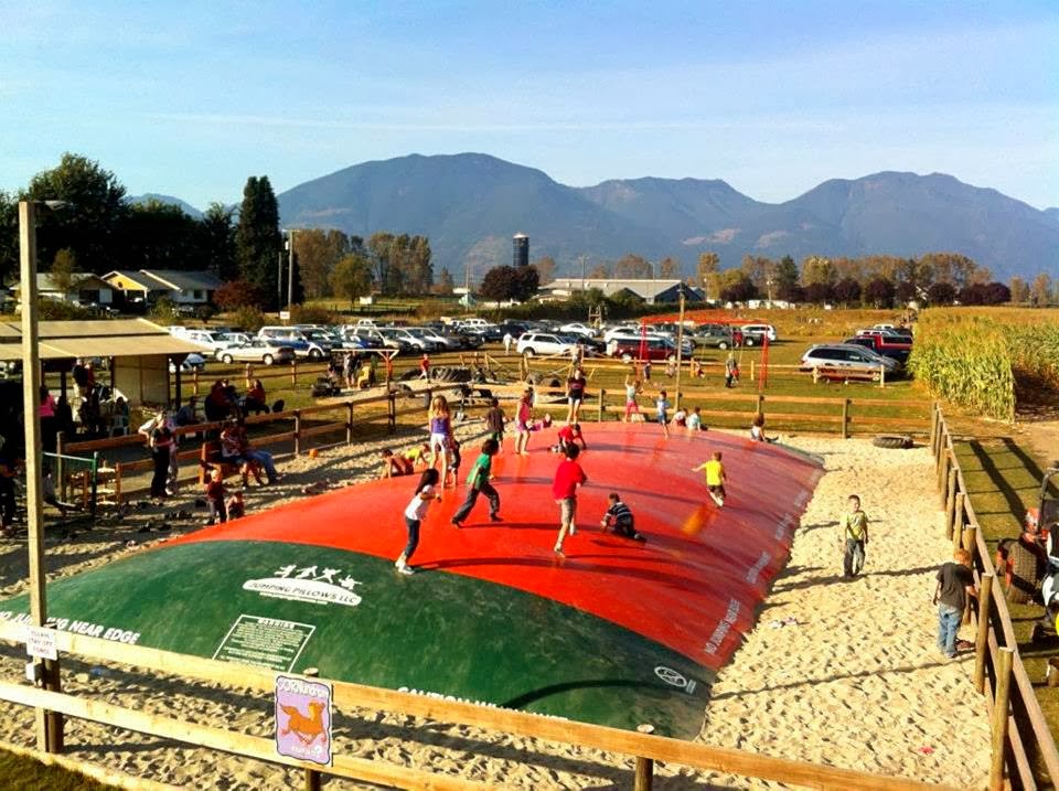 Chilliwack Corn Maze & Pumpkin Farm | 41905 Yale Rd W, Chilliwack, BC V2R 4J4, Canada | Phone: (604) 845-5284