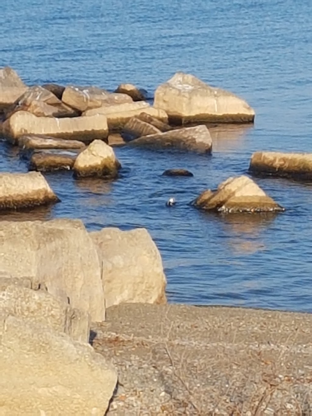 Waterfront Trail Parking Lot | Confederation Park A, Hamilton, ON L8E 3L8, Canada