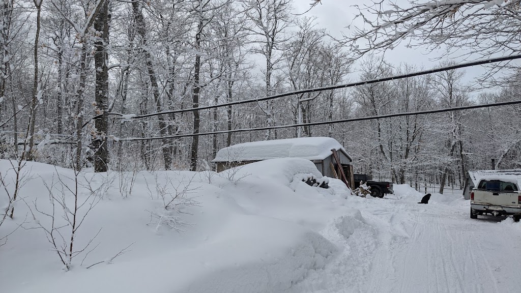 Érablière Fortin | 40 4e Rang O, Saint-Épiphane, QC G0L 2X0, Canada | Phone: (418) 862-6091