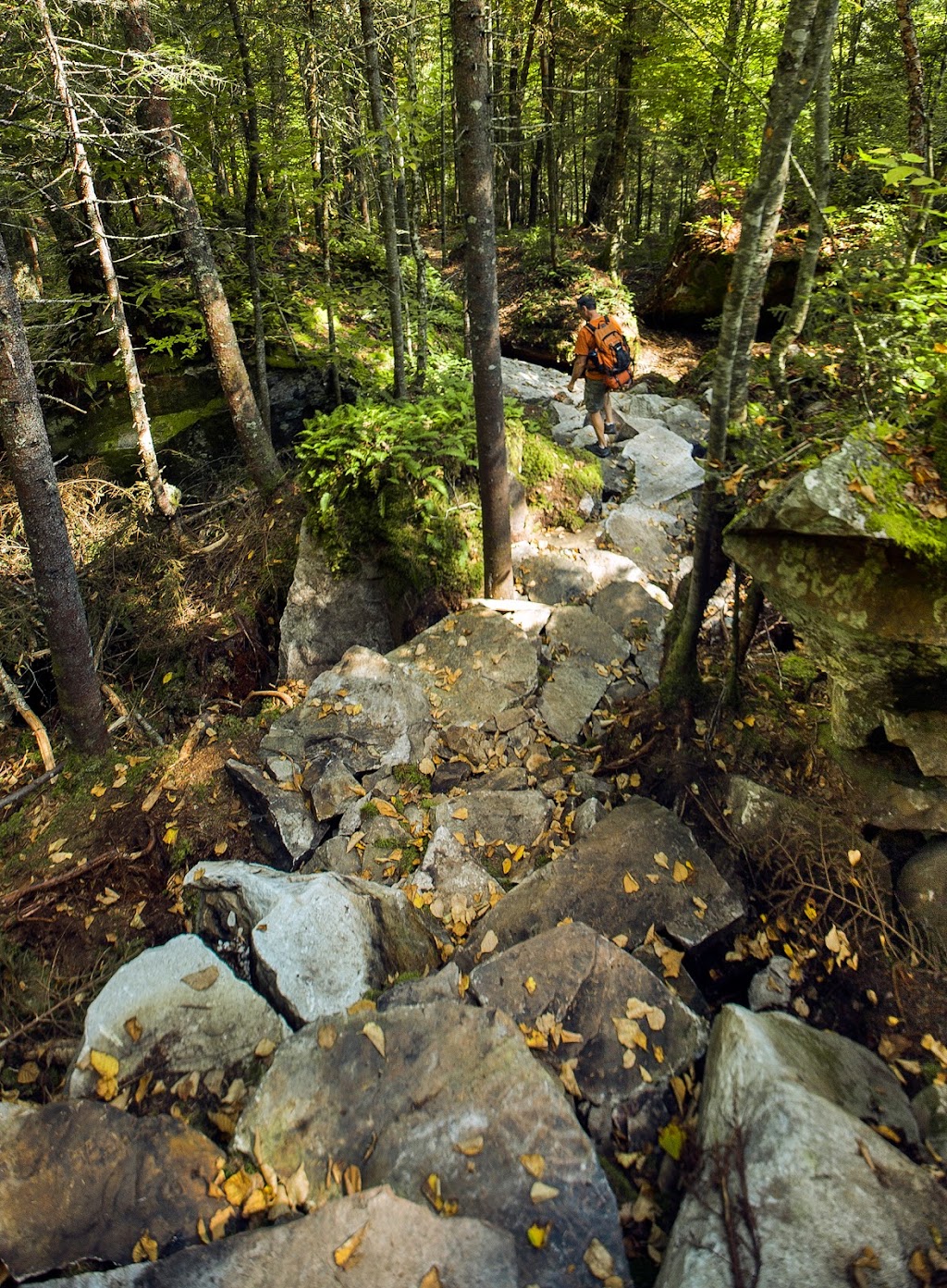 Vallée Bras-du-Nord, Accueil Shannahan | 2180 Rang Saguenay, Saint-Raymond, QC G3L 3G3, Canada | Phone: (800) 321-4992