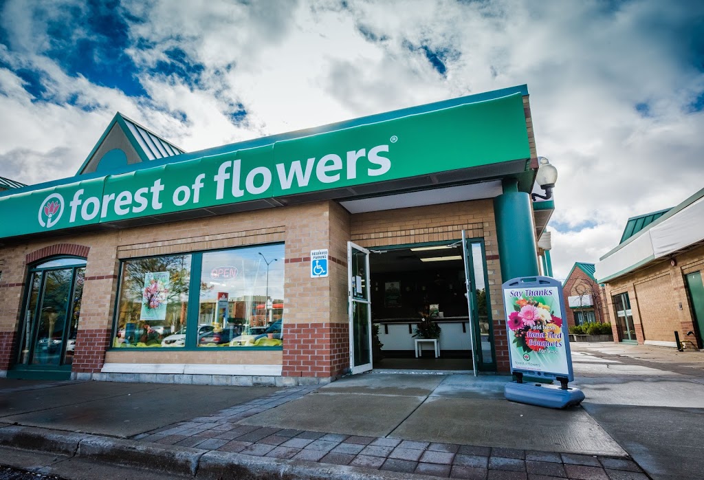 Forest of Flowers | 841 Wellington Rd b2, London, ON N6E 3R5, Canada | Phone: (519) 680-2529