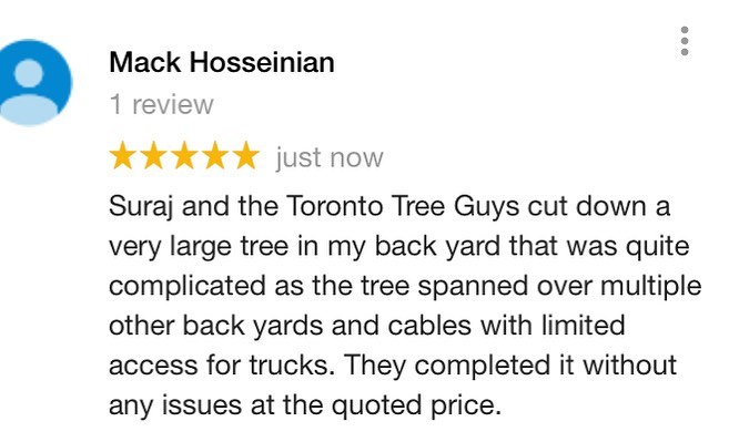 Toronto Tree Guys Inc. | 349 Marland Ave, Oshawa, ON L1J 1X4, Canada | Phone: (647) 390-9223