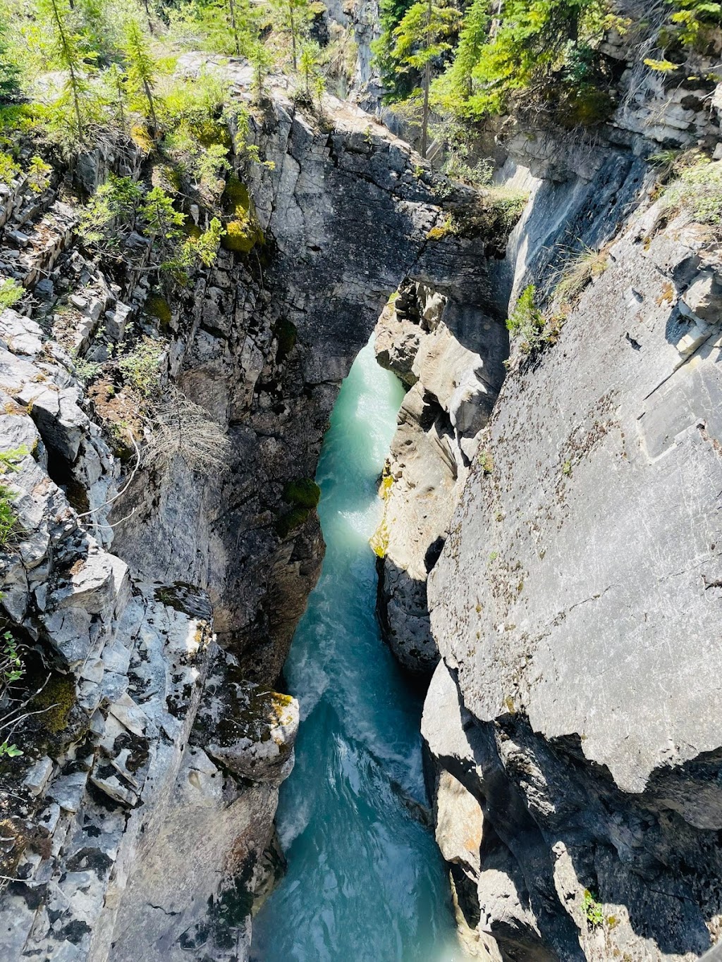 Marble Canyon Campground | Banff-Windermere Hwy, East Kootenay, BC V0A 1M0, Canada | Phone: (877) 737-3783