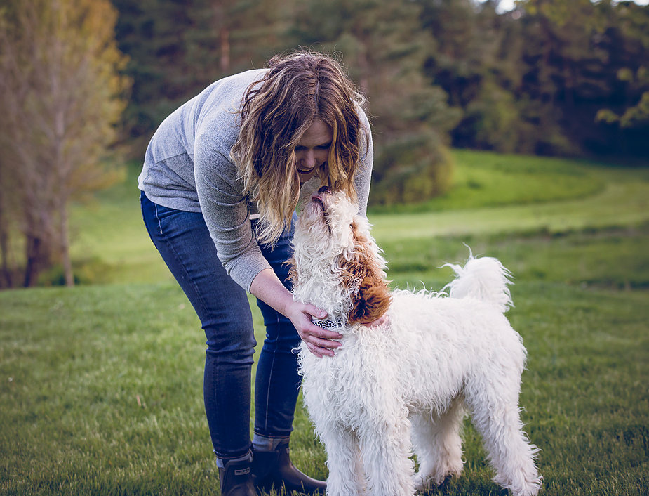 Ridge & Valley Farm- Goldendoodle Breeder | 5318 ON-3, Simcoe, ON N3Y 4K4, Canada | Phone: (905) 518-8771