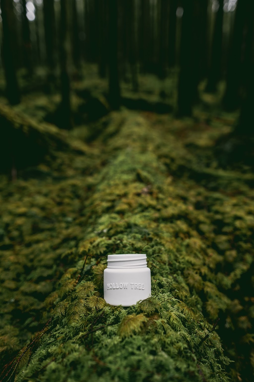 Hollow Tree Candle | 1005 Alpha Lake Rd, Whistler, BC V0N 1B0, Canada | Phone: (604) 902-0696