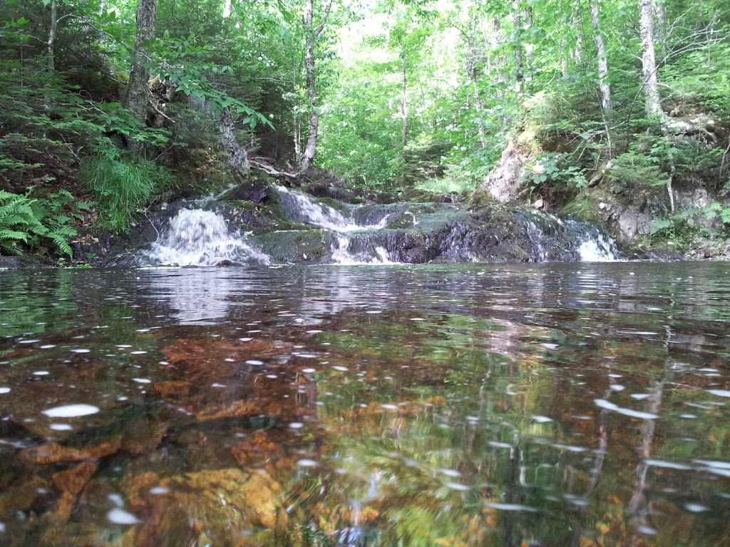 Gully Lake Wilderness Area | Kemptown Rd, Kemptown, NS, Canada | Phone: (800) 565-1633