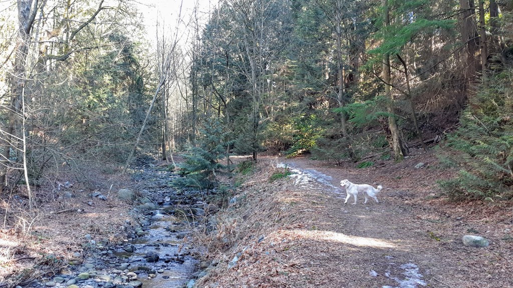 Westview Rain Gardem | Delta - South Surrey Regional Greenway Access Trail, Delta, BC V4E, Canada