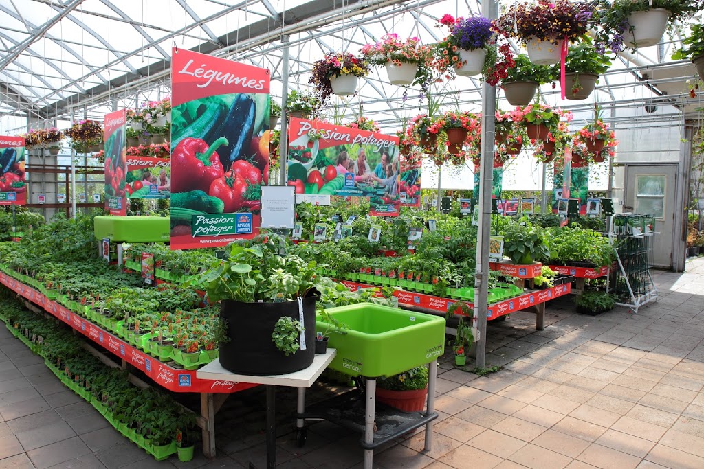 Jardinerie F Fortier Inc (La) | 99 116 Rte E, Princeville, QC G6L 4K6, Canada | Phone: (819) 364-5009