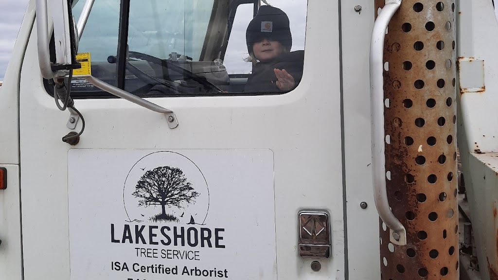 Lakeshore Tree Service | 191 Scotts Point Rd, Tiverton, ON N0G 2T0, Canada | Phone: (519) 368-7893