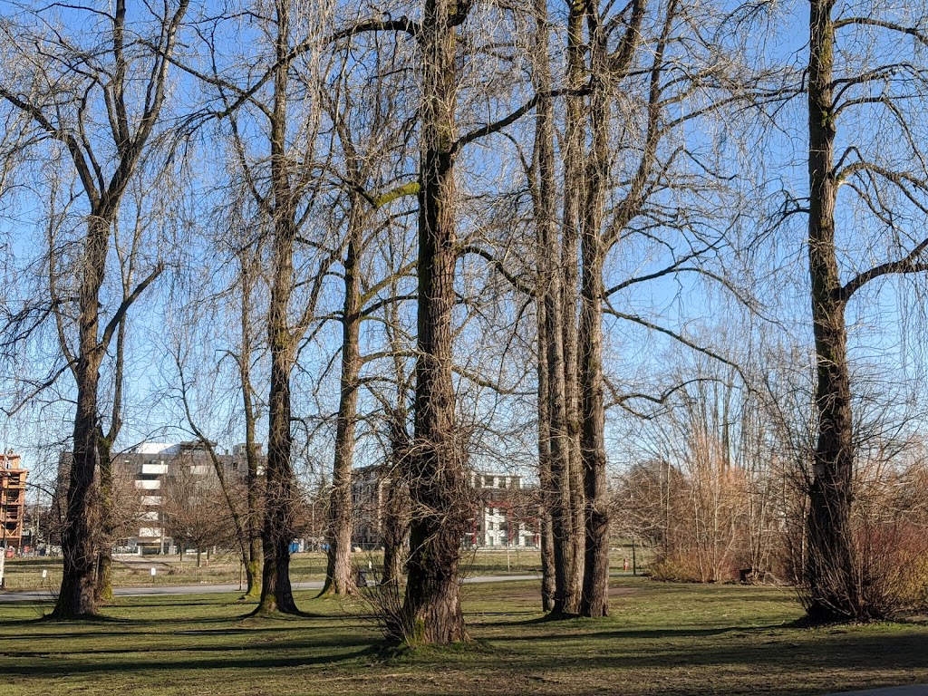 Queen Elizabeth Park Disc Golf Course | W 37th Ave, Vancouver, BC V6M 1P1, Canada | Phone: (604) 873-7000